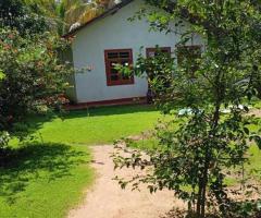 ​🏡🌳 Walasmulla | Nidangoda Alla: Prime Land with a House for Residential and Commercial Purposes! ✨ - 8