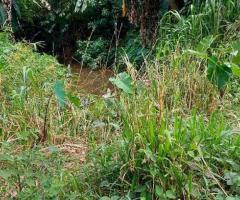 265 Perches of Commercial Land for Sale in Horana, Maputugala - 3