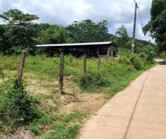 265 Perches of Commercial Land for Sale in Horana, Maputugala - 4