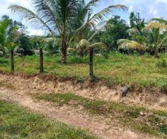265 Perches of Commercial Land for Sale in Horana, Maputugala - 6