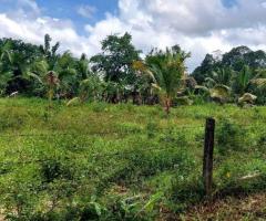 265 Perches of Commercial Land for Sale in Horana, Maputugala - 9