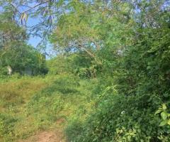 Prime 184-Perch Land for Sale in Tangalle, Kahadamodara - 2