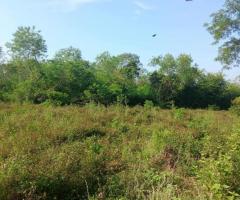 Prime 184-Perch Land for Sale in Tangalle, Kahadamodara - 3