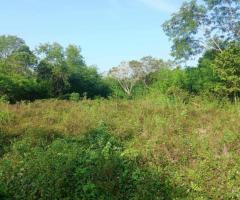 Prime 184-Perch Land for Sale in Tangalle, Kahadamodara - 4