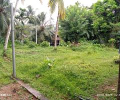 ✨ Ultimate Investment! 🌳 Prime Land for Sale 🏡 at Pitipana, Homagama 🇱🇰