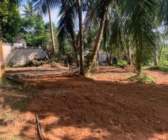 Prime 13.17 Perch Land for Sale in Homagama, Panagoda - Ideal for Residence or Investment! 🏡✨ - 4