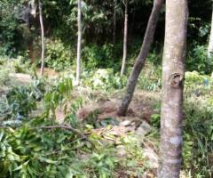 ​🏡 Your Dream Home in Galle Awaits! 🏡