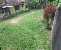 ​A Prime Land for Your Dream Home - 13.76 Perches in Piliyandala, Hedigama for Sale! 🏡 - 3