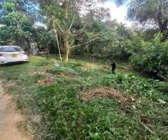 A Great Investment for Your Future! 🏡🌟