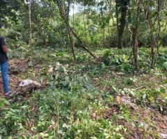 A Great Investment for Your Future! 🏡🌟 - 3