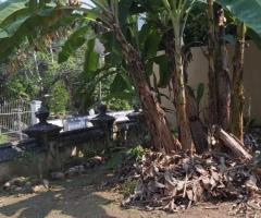 ​🏡 Prime Land & House for Sale in Galle, Opposite Mahinda College! ✨ - 5