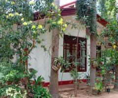 ​🏡 Hingurakgoda A House with Exceptional Value for Sale!