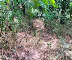 Discover Your Piece of Paradise: 25 Perches in Scenic Digana, Kandy 🏡🏝️🌳