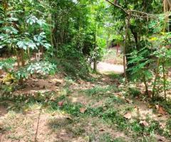 Discover Your Piece of Paradise: 25 Perches in Scenic Digana, Kandy 🏡🏝️🌳 - 5