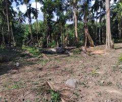 Land For Sale in Galle, Dadella (20 Perches)! 🏖️
