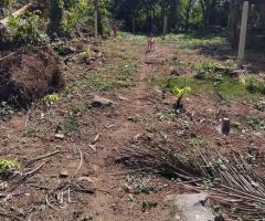 Land For Sale in Galle, Dadella (20 Perches)! 🏖️ - 2