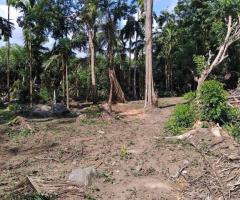 Land For Sale in Galle, Dadella (20 Perches)! 🏖️ - 3