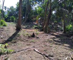 Land For Sale in Galle, Dadella (20 Perches)! 🏖️ - 4