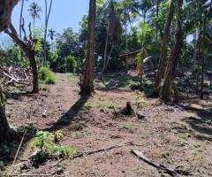 Land For Sale in Galle, Dadella (20 Perches)! 🏖️ - 5