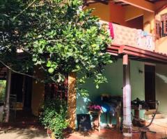 Prime 68 Perch Land in Galle  🏡✨ - 6