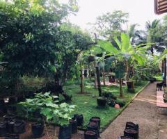 Prime 68 Perch Land in Galle  🏡✨ - 7