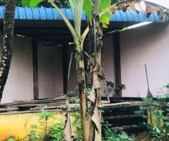 Prime 68 Perch Land in Galle  🏡✨ - 9