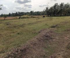 Land for sale in Anuradapura - 3