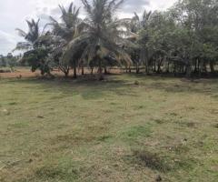 Land for sale in Anuradapura - 4