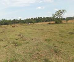 Land for sale in Anuradapura - 5