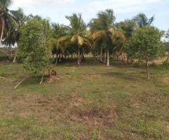 Land for sale in Anuradapura - 7