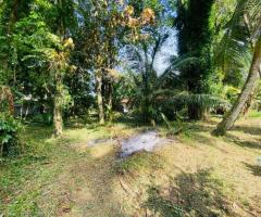​🏡 Prime Land for Sale in Suriyamawatha, Kadurugashena near Kuliyapitiya Town - 24Perches! ✨
