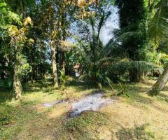 ​🏡 Prime Land for Sale in Suriyamawatha, Kadurugashena near Kuliyapitiya Town - 24Perches! ✨ - 2