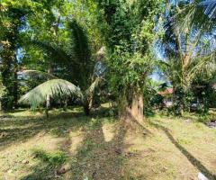 ​🏡 Prime Land for Sale in Suriyamawatha, Kadurugashena near Kuliyapitiya Town - 24Perches! ✨ - 5