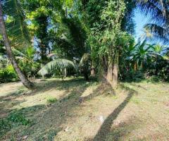 ​🏡 Prime Land for Sale in Suriyamawatha, Kadurugashena near Kuliyapitiya Town - 24Perches! ✨ - 6
