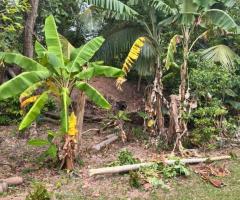 Value! A Unique Opportunity on Vihara Mawatha, Kolonnawa 📍💎 - 2