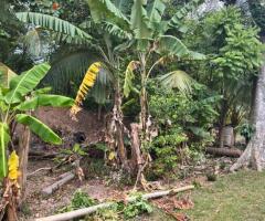 Value! A Unique Opportunity on Vihara Mawatha, Kolonnawa 📍💎 - 5