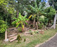 Value! A Unique Opportunity on Vihara Mawatha, Kolonnawa 📍💎 - 6