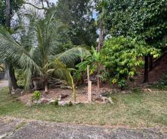 Value! A Unique Opportunity on Vihara Mawatha, Kolonnawa 📍💎 - 7