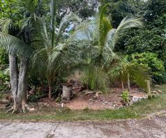 Value! A Unique Opportunity on Vihara Mawatha, Kolonnawa 📍💎 - 10