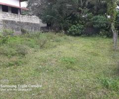 Your Best Future in Horana, Munagama! 🥰