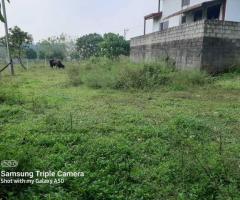 Your Best Future in Horana, Munagama! 🥰 - 2