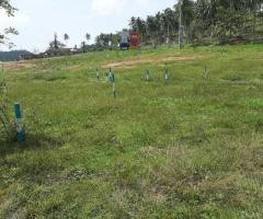 Your Best Future in Horana, Munagama! 🥰 - 7