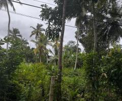🌴 Prime Land for Sale in Induruwa,🥰 - 3