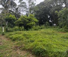 🌴 Prime Land for Sale in Induruwa,🥰 - 5