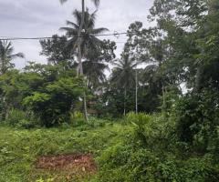 🌴 Prime Land for Sale in Induruwa,🥰 - 6