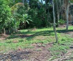 Embilipitiya වල 20 perch බිම්කොටසක් විකිනීමට.