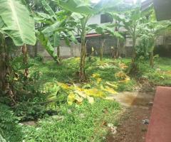 🌟 Extremely Valuable Land for Sale in Kadawatha! 🏡💰 - 5