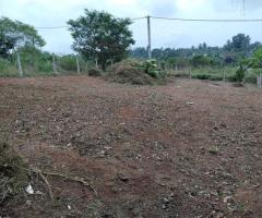 Land for Sale in Kadawatha Mangala Mawatha - 6
