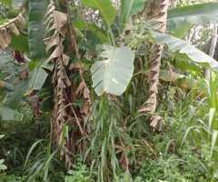 🔥​EXCLUSIVE INVESTMENT OPPORTUNITY!  🏨