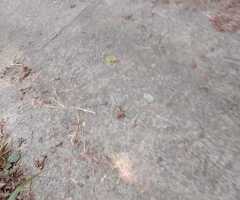 🔥​EXCLUSIVE INVESTMENT OPPORTUNITY!  🏨 - 2